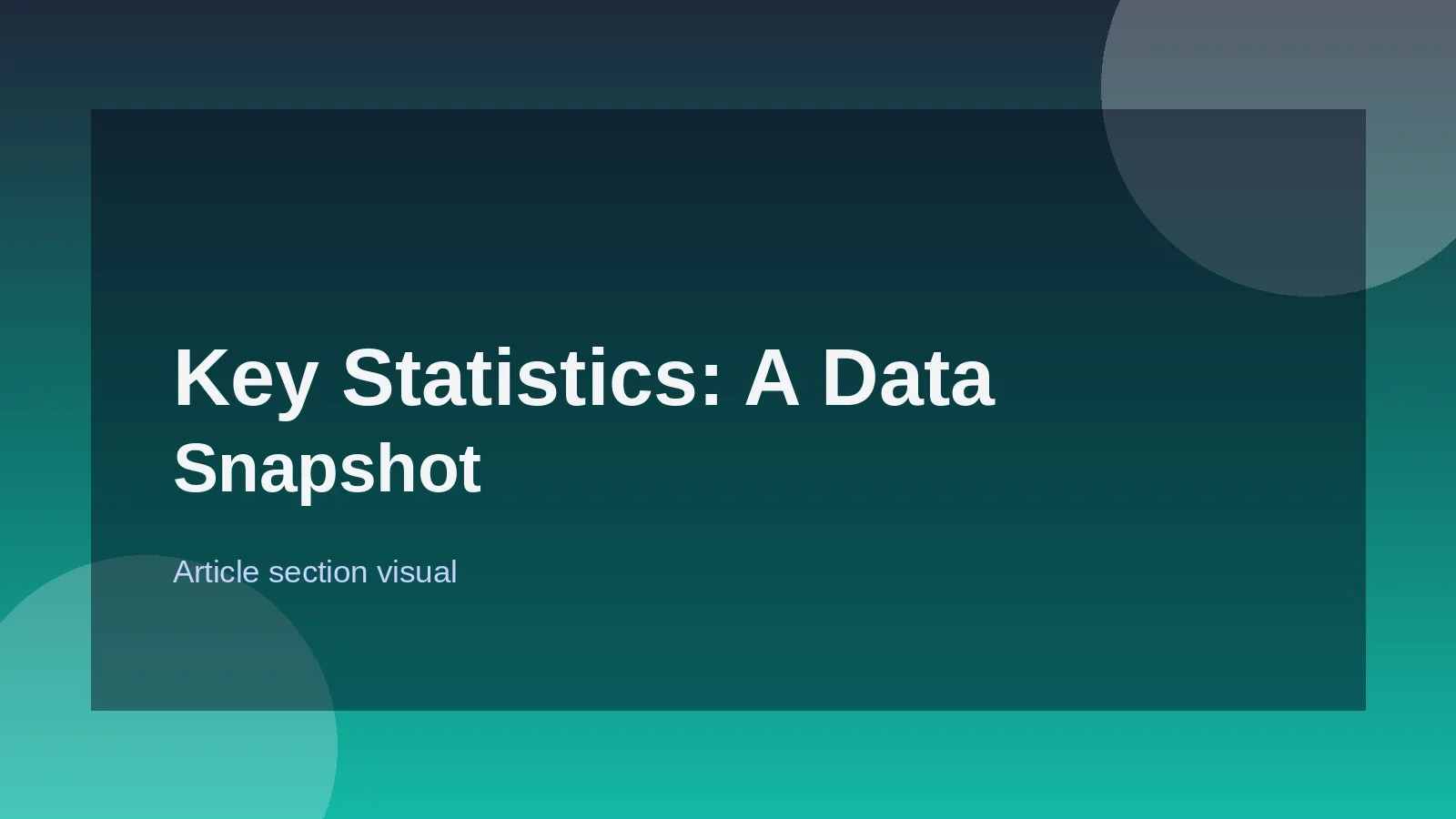 Key Statistics: A Data Snapshot