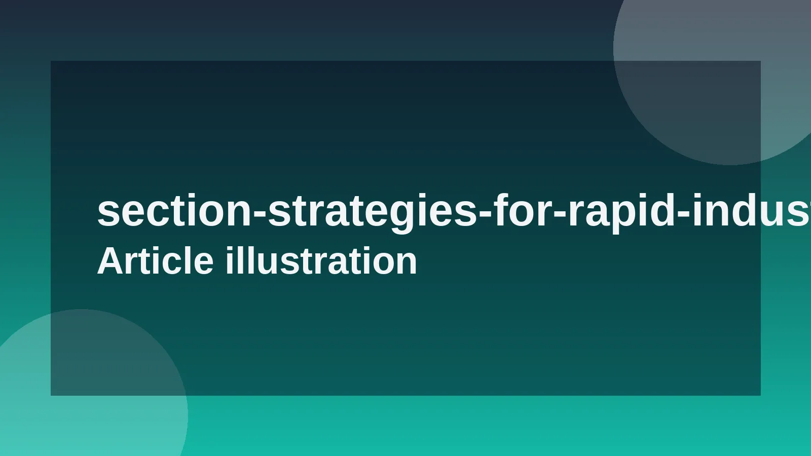 Strategies for Rapid Industry Immersion