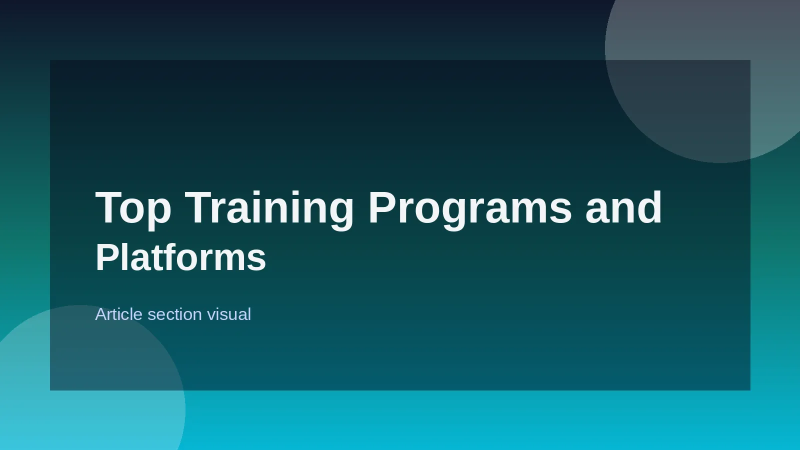 Top Training Programs and Platforms for Beginners