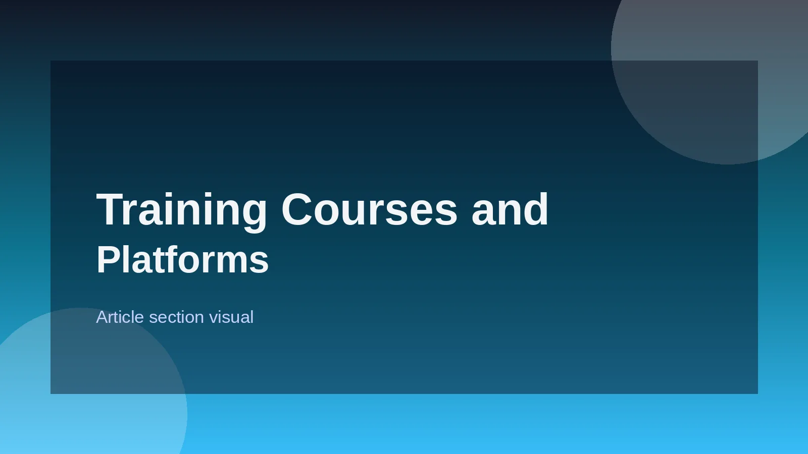 Training Courses and Platforms Worth Your Time