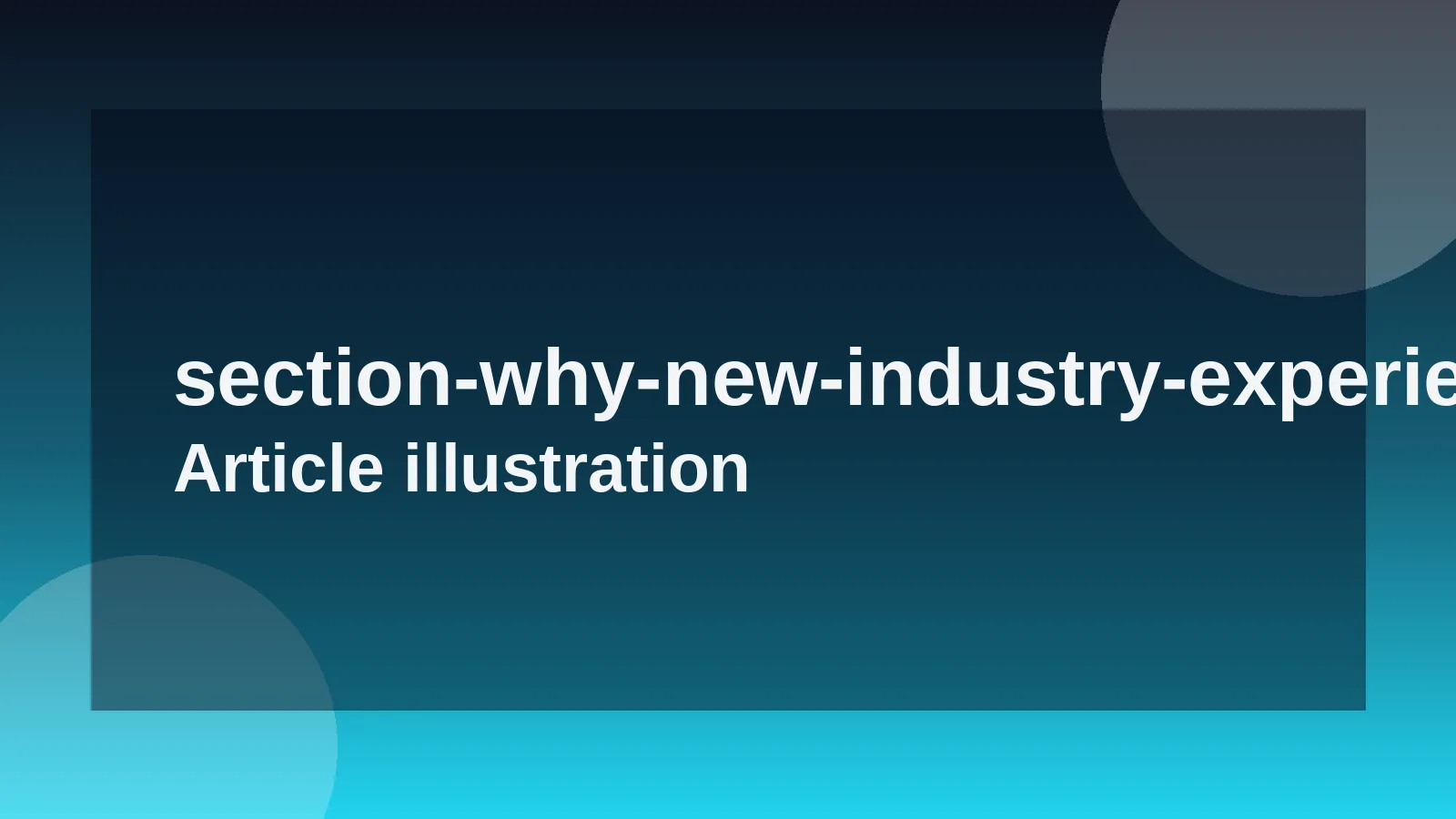 Why New Industry Experience Matters